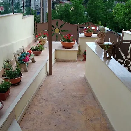 La Casa Del 